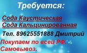 Скупаем каустическую и кальцинированную соду.