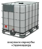 Покупаем промышленную тару : евро-кубы ,  бочки.